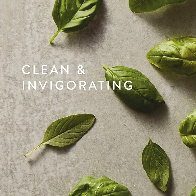 Thymes Countertop Spray - Counter Cleaner Spray - Household Cleaning Supplies (Fresh-Cut Basil, 16.5 fl oz) (Pack of 2)