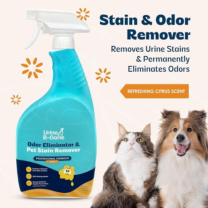 Urine B-Gone, Professional Enzyme Odor Eliminator & Pet Stain Remover, Human, Cat & Dog Urine Cleaner, Effective on Laundry, Carpets & More, Citrus Scent, 32oz