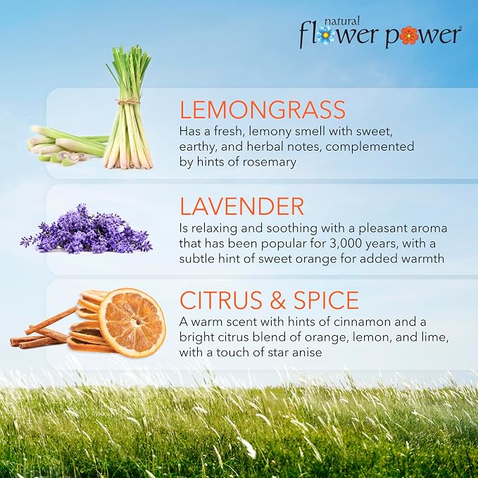 Natural Flower Power Air Freshener Spray - Odor Eliminator with Essential Oils for Home, Car & Fabric - Cruelty Free & Vegan - Variety Pack - Citrus & Spice + Lavender + Lemongrass - 3 x 4 fl oz