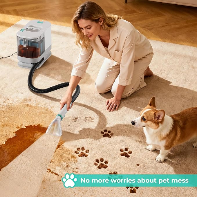 HAUSHOF Portable Carpet, Upholstery Cleaner Machine, 13Kpa Suction | Powerful Stain & Spot Remover, with Cleaning Solution, Deep Stain Cleaning for Carpet, Car Seats, Pets, Couches, Rug