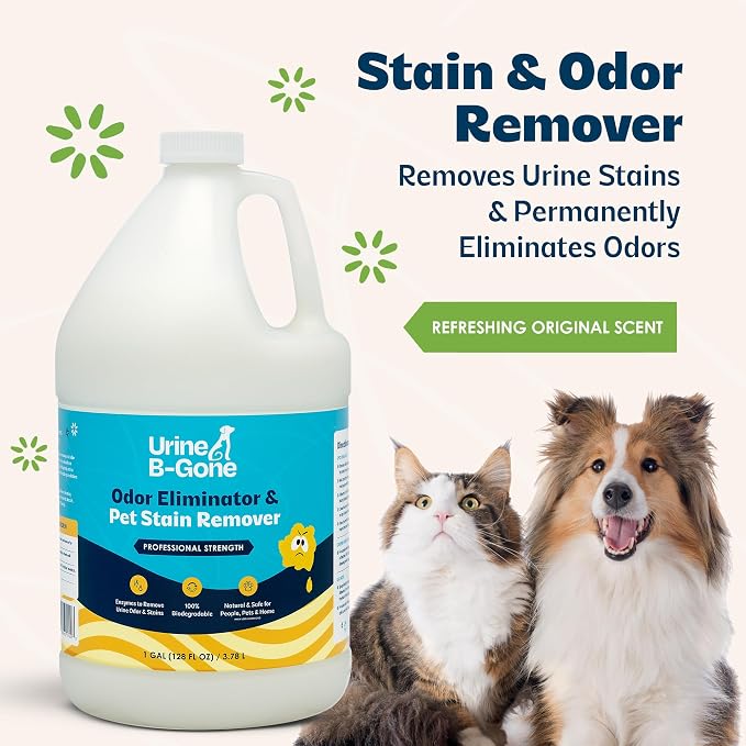 Urine B-Gone, Professional Enzyme Odor Eliminator & Pet Stain Remover, Human, Cat & Dog Urine Cleaner, Effective on Laundry, Carpets & More, Original Scent, 1 Gallon