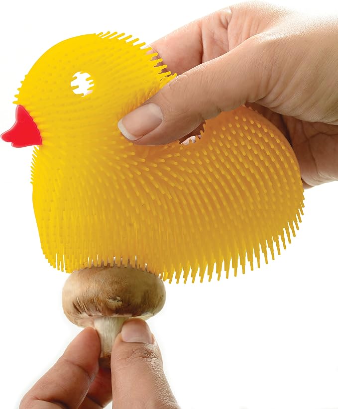 Norpro Duck Silicone Dish Brush