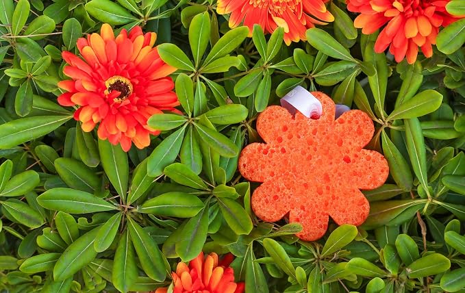 Spongellé Lily of the Valley Wild Flower Bath Sponge | Built-in Body Wash & Body Scrubber, Shower Loofah Sponge for Women | 14+ uses
