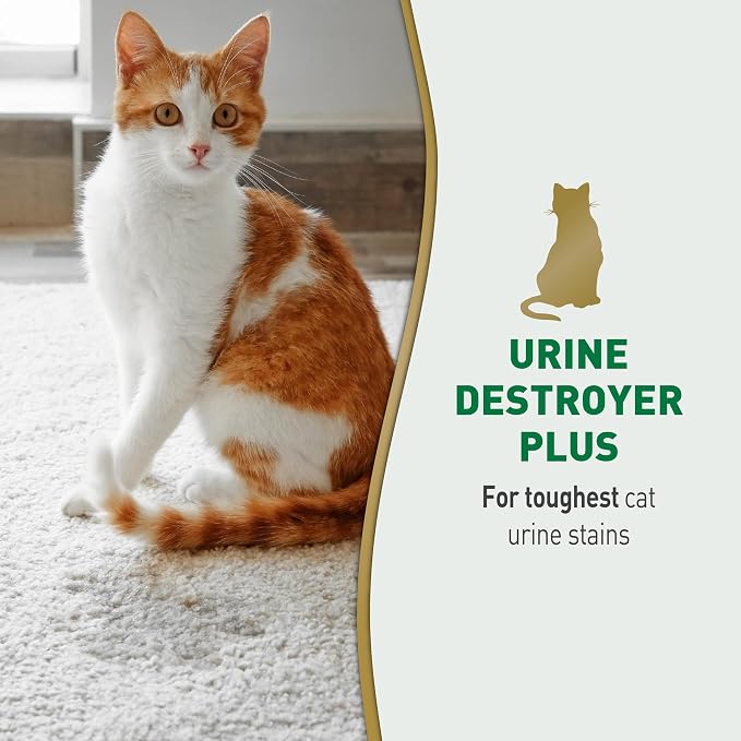 Nature's Miracle Urine Destroyer, 17.5 Ounces | Foaming Aerosol | For Dogs | Pack of 2 | For Tough Urine Messes