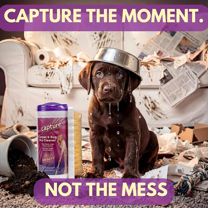Capture Carpet & Rug Dry Cleaner w/Brush - Carpet Deodorizer & Freshener Powder - Spot & Stain Remover - Pet Odor Eliminator - Fresh Natural Scent - Dry Rug Powder Cleaner (1 lb)