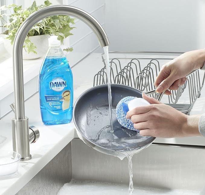 Dawn Handi Scrub Dishwashing Scrubber and Storage Dish, White/Blue