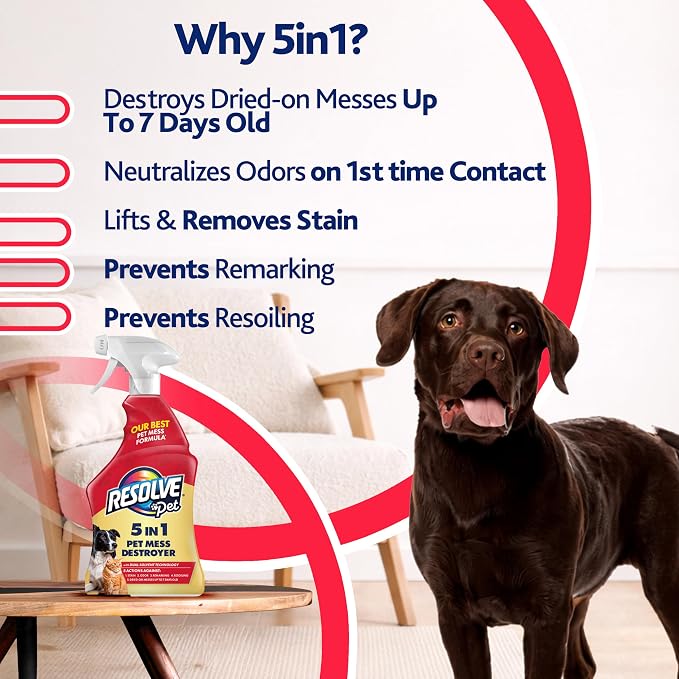 Resolve 5-in-1 Carpet Cleaner Spray – for Removal of Pet Stains & Odors Up to 7 Days Old, 22oz