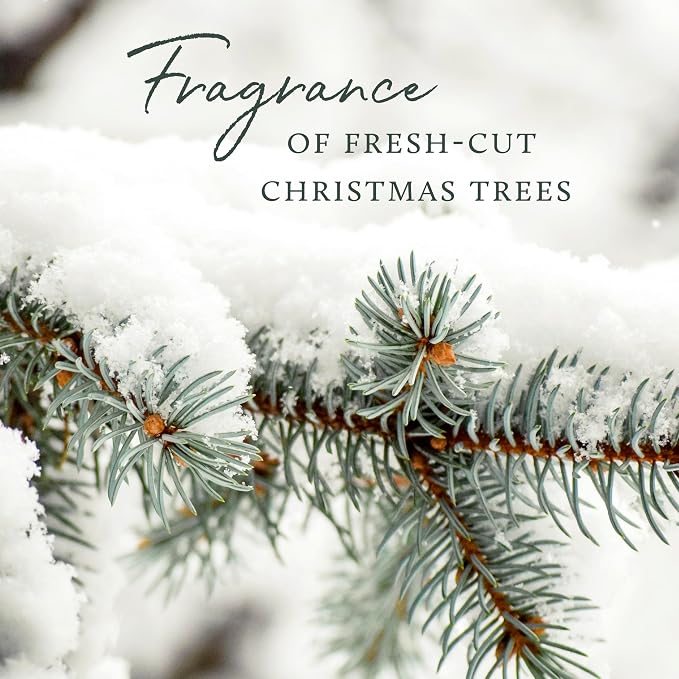 Thymes Frasier Fir All-Purpose Cleaner - Biodegradable Cleaner with Natural Essential Oils - Household Spray for Cleaning Bathrooms, Kitchens, Counters, and Other Surfaces (16 fl oz)