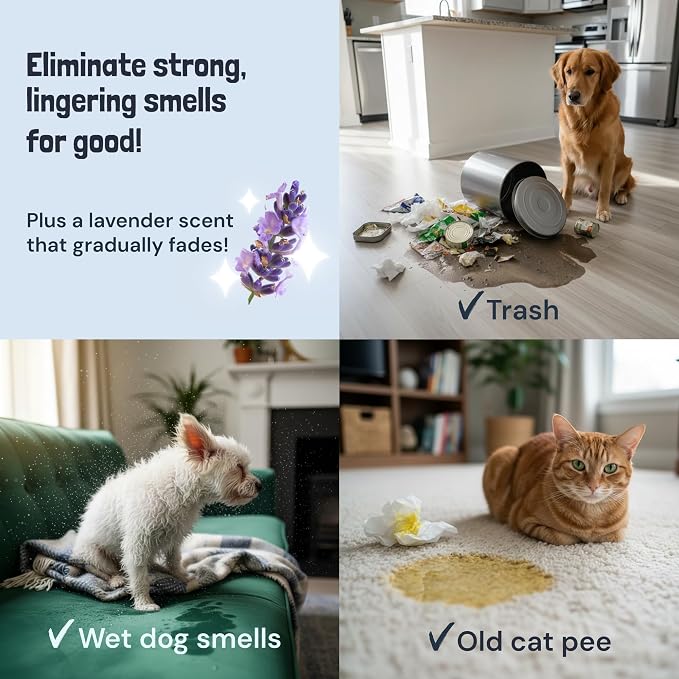 Sunny & Honey Pet Stain and Odor Remover for Carpets, 1 Gallon Lavender | USA Made - Enzyme Cleaner for Dog Urine & Poop - Eliminates Set In Stains - Color Safe - For Rugs, Furniture & Car Seats