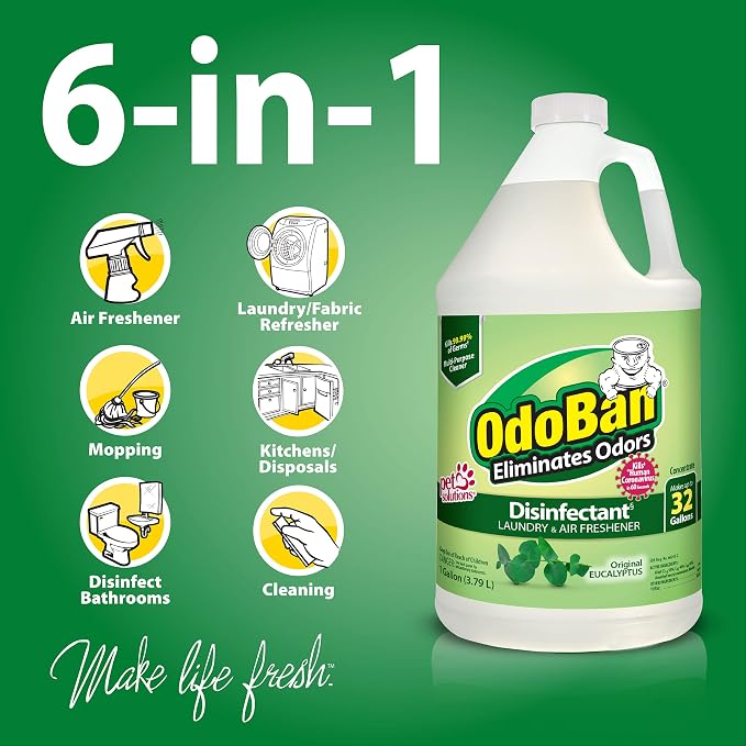 OdoBan Ready-to-Use Disinfectant and Odor Eliminator, Set of 3, 4 Ounce Travel Spray, 32 Ounce Spray, 1 Gallon Concentrate, Original Eucalyptus Scent