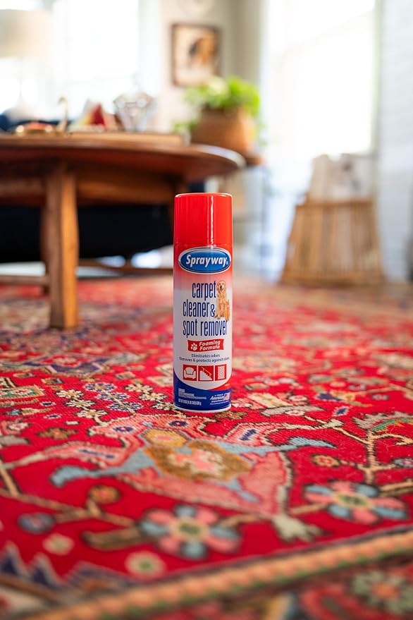 Sprayway Carpet Cleaner (Pet), 19oz, Pack of 6 | Removes Pet Stains & Odors, Foaming Action | Deep Cleans Carpets & Upholstery | Fresh Scent, Quick-Drying Formula