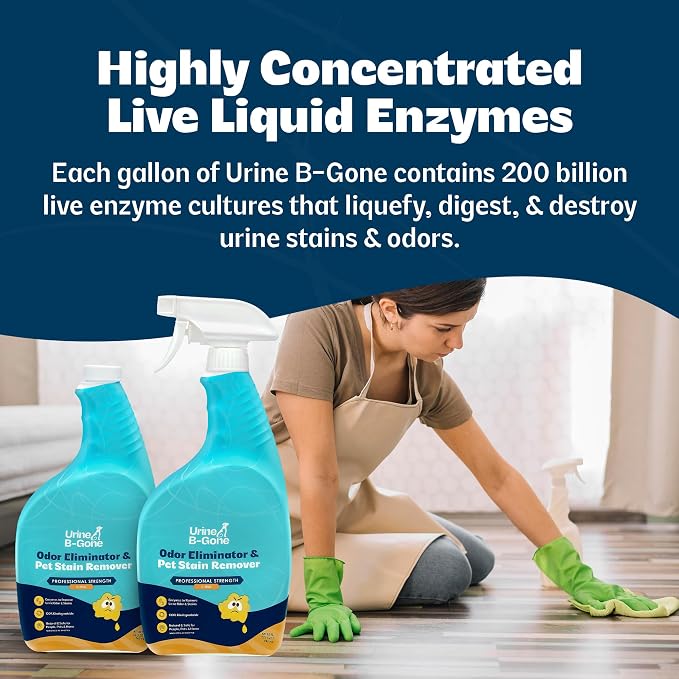 Urine B-Gone, Professional Enzyme Odor Eliminator & Pet Stain Remover, Human, Cat & Dog Urine Cleaner, Effective on Laundry, Carpets & More, Citrus Scent, 32oz, Pack of Two