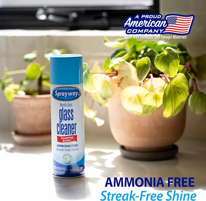 Sprayway Glass Cleaner Foaming Aerosol Spray, 19oz, Pack of 2 | Ammonia-Free, Streakless, Fast-Acting | Cleans & Polishes Glass Surfaces | Fresh Scent, Removes Fingerprints, Dust, Dirt, Smoke Film