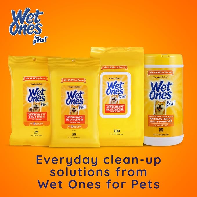 Wet Ones for Pets Antibacterial Heavy Duty Dog Paw Wipes with Tropical Splash Scent - Kills 99.99% of Germs, Thick Durable Disposable Paw Wipes for Dogs, 50 Count