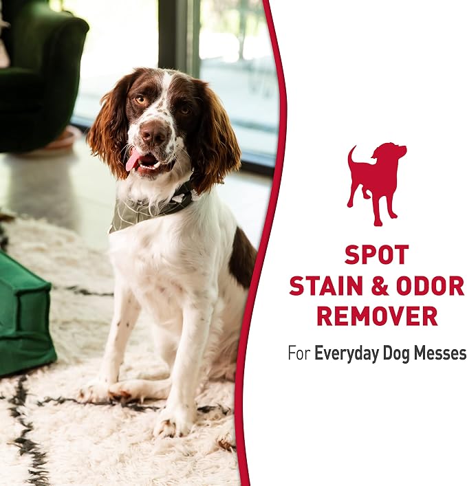Nature’s Miracle Dog Stain & Odor Remover, Enzymatic Cleaner, 170 oz Refill