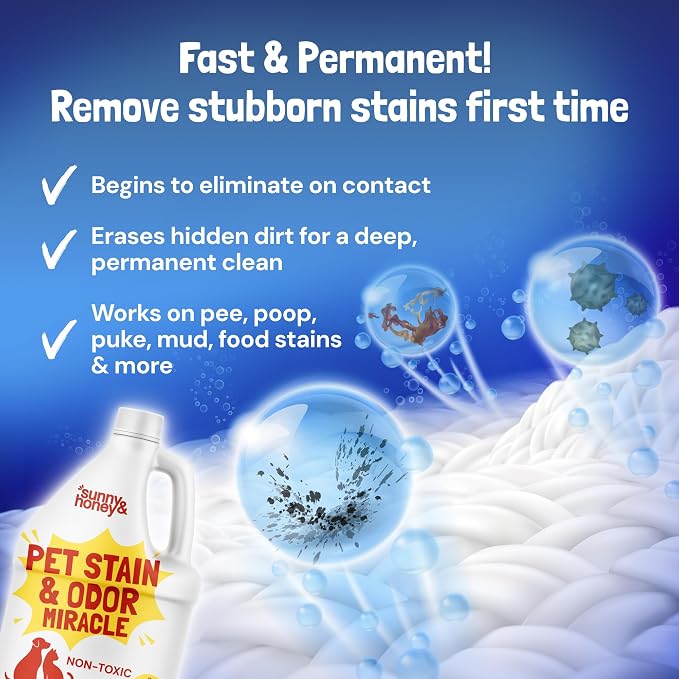 Sunny & Honey Pet Stain and Odor Remover for Carpets, 1 Gallon Spice | USA Made - Enzyme Cleaner for Dog Urine & Poop - Eliminates Set In Stains - Color Safe - For Rugs, Furniture & Car Seats