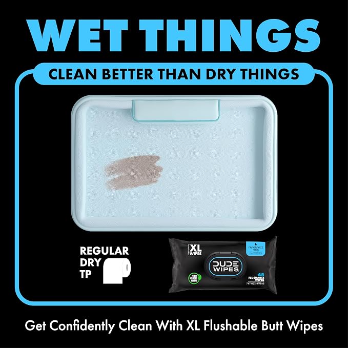 DUDE Wipes - Flushable Wipes, Unscented - Extra-Large - Vitamin-E & Aloe - Septic and Sewer Safe,48 Count (Pack of 12)