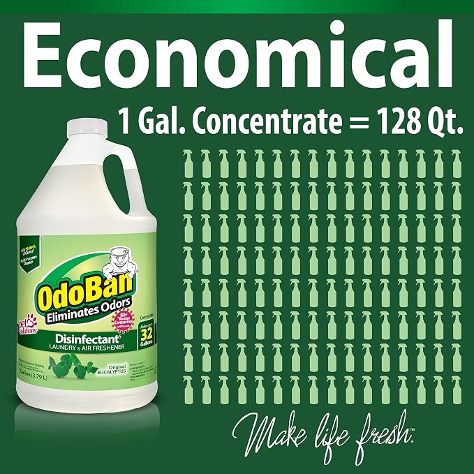 OdoBan Ready-to-Use Disinfectant and Odor Eliminator, Set of 3, 4 Ounce Travel Spray, 32 Ounce Spray, 1 Gallon Concentrate, Original Eucalyptus Scent
