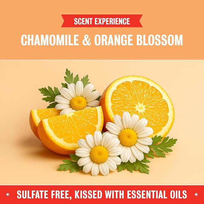 Rebel Green Natural All-Purpose Cleaning Spray - Plant-Based Multi-Surface Cleaner with Essential Oils for Kitchen, Bath, Countertops and More - Orange & Chamomile - 16 oz - 2 Pack