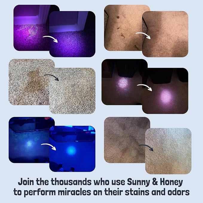 Sunny & Honey Pet Stain and Odor Remover Spray for Carpets, 32floz Lavender | USA Made - Enzyme Cleaner for Dog Urine & Poop - Eliminates Set In Stains - Color Safe - For Rugs, Furniture & Car Seats