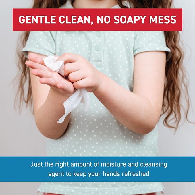 WipeEssentials Hand Sanitizer Wipes for Adults & Kids - 30 Count, 12 Packs | Alcohol-Free, Moisturizing Sanitizing Wipes with Aloe Vera & Vitamin E - Unscented & Travel Size With No Soapy Residue