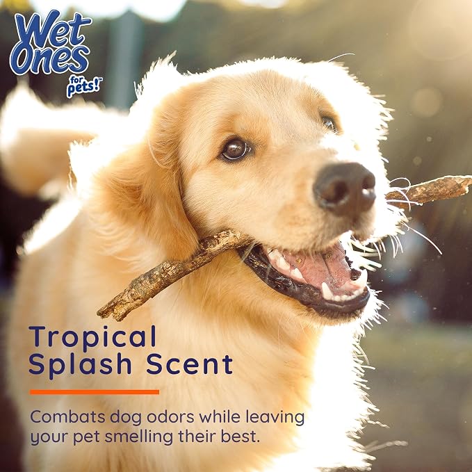 Wet Ones for Pets Antibacterial Heavy Duty Dog Paw Wipes with Tropical Splash Scent - Kills 99.99% of Germs, Thick Durable Disposable Paw Wipes for Dogs, 50 Count