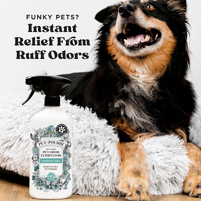 Pet-Pourri Pet Odor Air + Fabric Odor Freshener Spray, Pawsitively Fresh, 16 Fl Oz (Pack of 2)