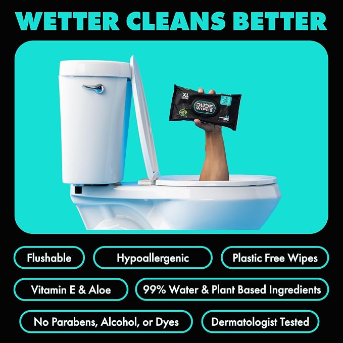 DUDE Wipes Mint Chill Flushable Wipes - Extra-Large Adult Wet Wipes - 1 Pack (48 Count), Travel Pack - Infused with Tea Tree Oil, Vitamin E, and Aloe - Septic and Sewer Safe