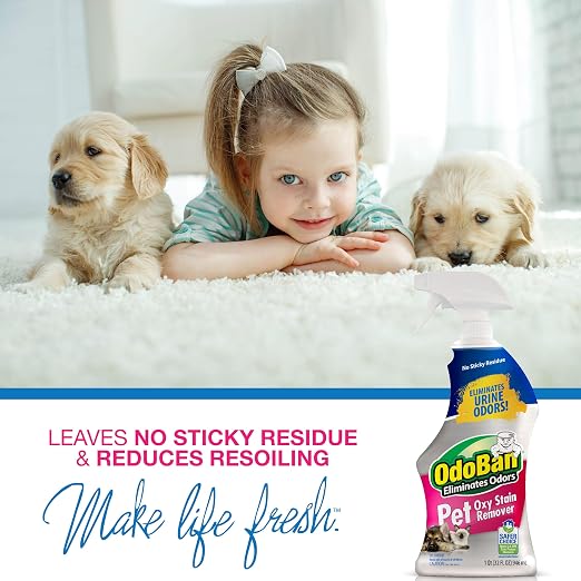 OdoBan Pet Solutions No Rinse Neutral pH Floor Cleaner Concentrate, Made in the USA, 1 Gallon, and Oxy Stain Remover, 32 Ounce Spray