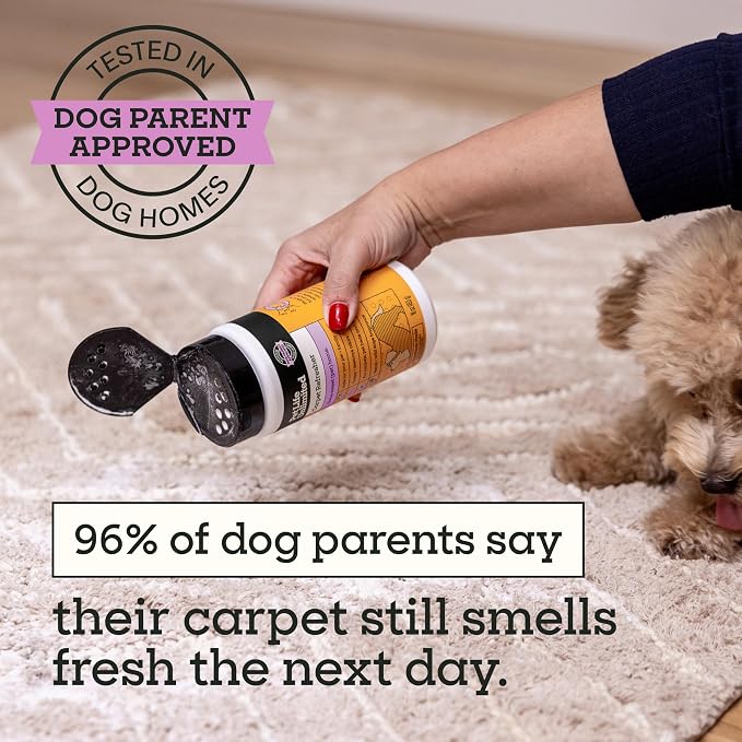 Pet Life Unlimited Carpet Deodorizer Powder, 16 oz, Strong Pet Odor Eliminator & Carpet Freshener, Plant-Based Wild Sage & Neroli Scent, Pet Safe (Pack of 1)