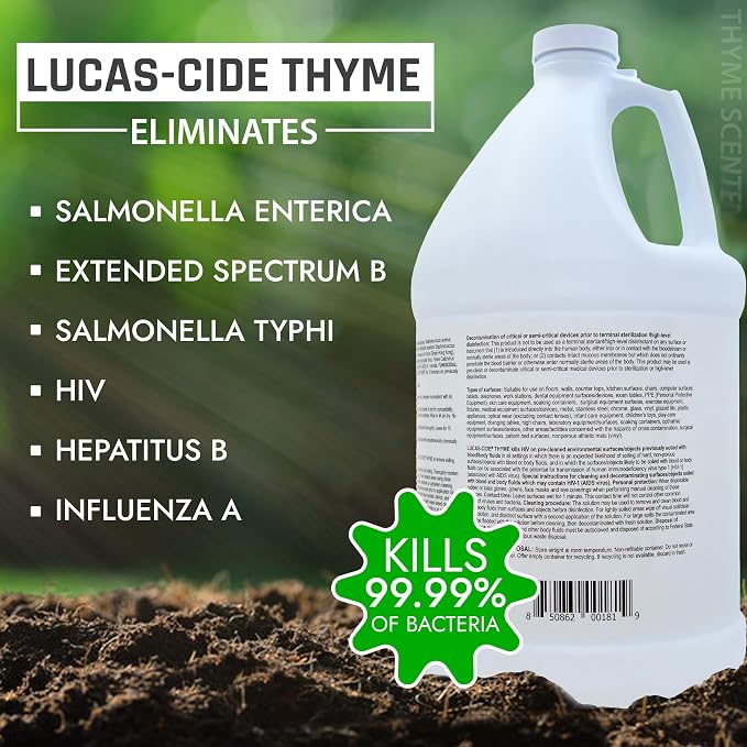 LUCAS-CIDE Ready To Use All Purpose Cleaner - Home Essentials Cleaning Supplies For Everyday Hygiene - Thyme Scented Disinfecting Bathroom Cleaner, Glass Cleaner, Floor Cleaner, etc - 1 Gallon