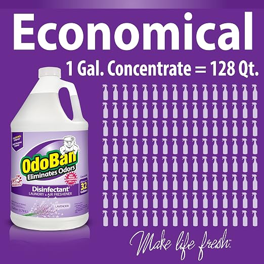 OdoBan Disinfectant Concentrate and Odor Eliminator, Made in the USA, Lavender Scent, 1 Gallon