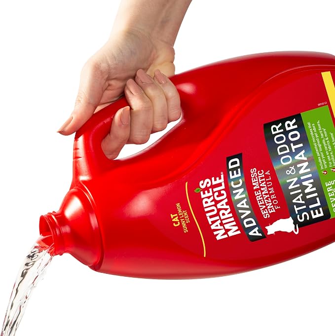 Nature’s Miracle Advanced Cat Stain & Odor Eliminator, Severe Mess, 1 gal | Enzymatic Cleaner Eliminates the Toughest Cat Messes, For Use on Multiple Surfaces, Safe For Pets and Home*, Sunny Lemon