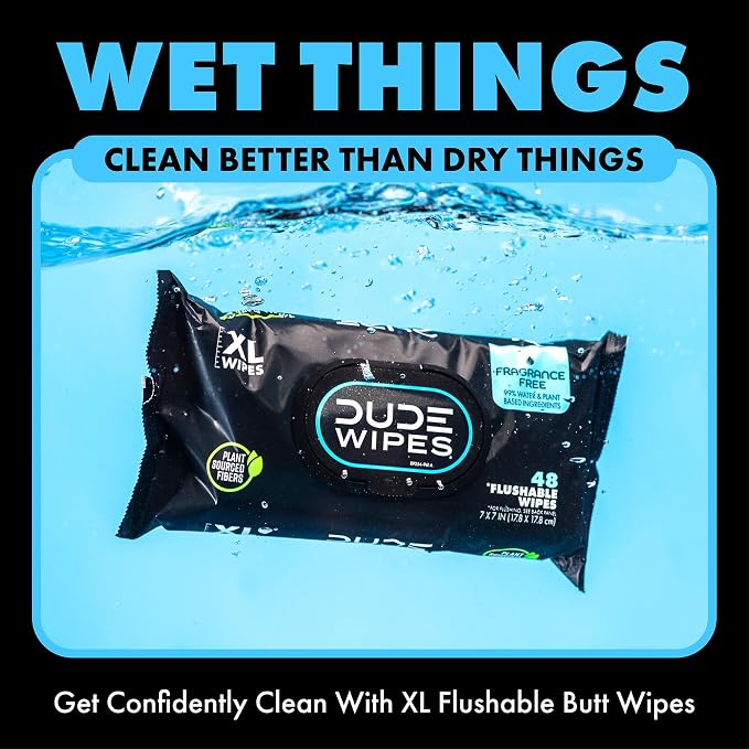 DUDE Wipes, 48 Count, 2 Pack | Flushable | Unscented | Extra-Large | Vitamin-E & Aloe