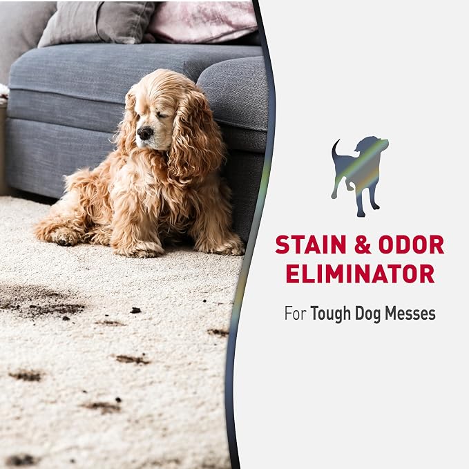 Nature’s Miracle Advanced Dog Stain & Odor Eliminator, Severe Mess, 1 gal | Enzymatic Cleaner Eliminates the Toughest Dog Messes, For Use on Multiple Surfaces, Safe For Pets and Home*, Fresh Scent