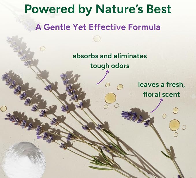 Good Natured Brand | Carpet Deodorizer & Freshener Powder | 31 oz Pet Odor Eliminator for Strong Odor & Pet Urine | Fresh Natural Lavender Scent | Safe for Homes with Pets