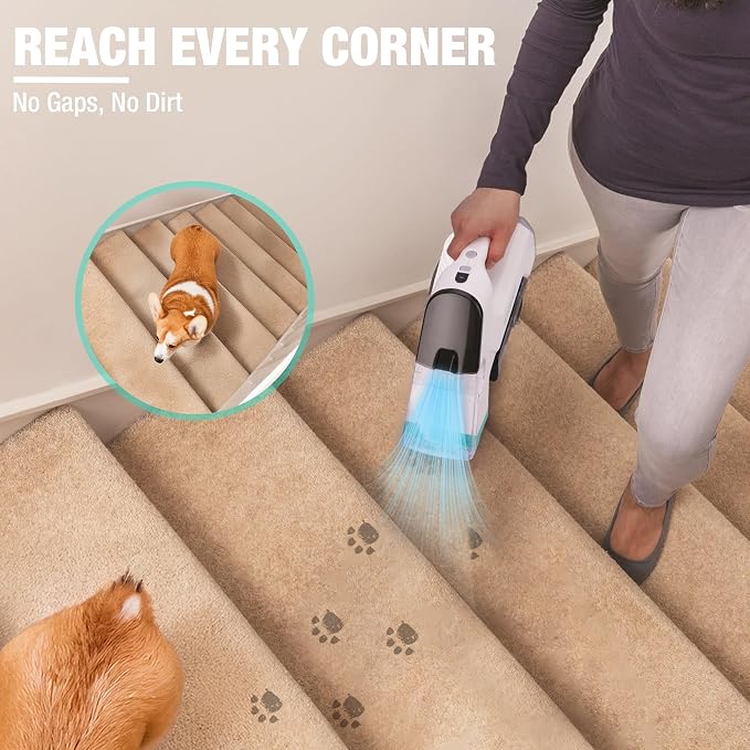 HAUSHOF 12V Cordless Handheld Carpet Cleaner, 6.5KPa Suction | 2 Water Tanks, Type-C Charging, Spot & Stain Cleaner, Portable Design for Carpet, Upholstery, Stairs & Car