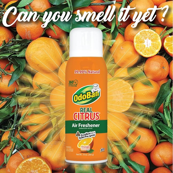OdoBan 360-Degree Continuous Spray Natural Oil Real Citrus Orange Air Freshener, 10 Ounce, and Multipurpose Disinfectant Cleaner, 32 Ounce Spray, Made in the USA