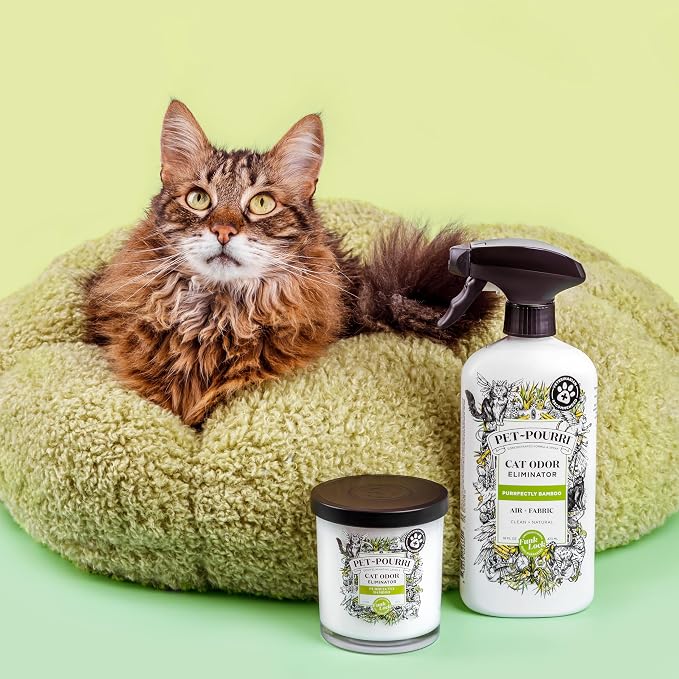 Pet-Pourri Purrfectly Bamboo Cat Odor Freshener Bundle - Air & Fabric Spray 16 Fl Oz + Candle 7.5 Fl Oz (Veterinarian Recommended)