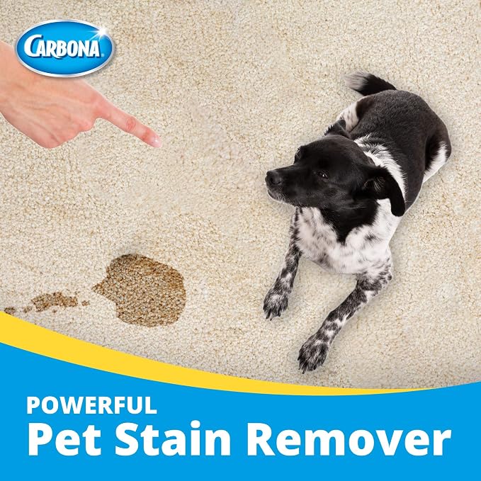 Carbona 2 in 1 Oxy-powered Pet Stain