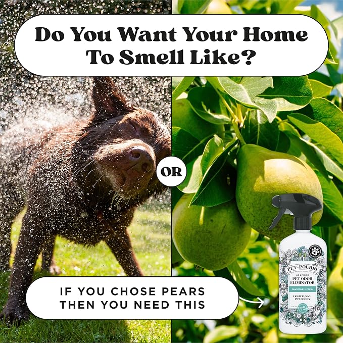 Pet-Pourri Pet Odor Air + Fabric Odor Freshener Spray, Pawsitively Fresh, 16 Fl Oz (Pack of 2)