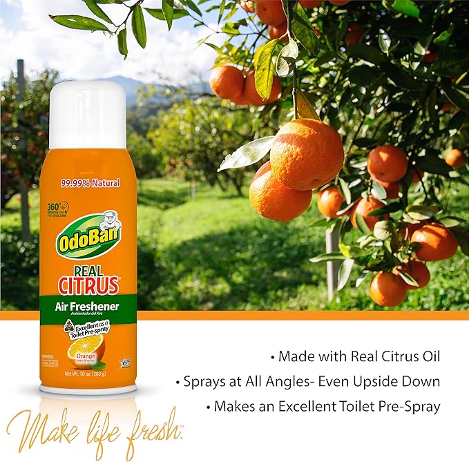 OdoBan 360-Degree Continuous Spray Natural Oil Real Citrus Orange Air Freshener, 10 Ounce, and Multipurpose Disinfectant Cleaner, 32 Ounce Spray, Made in the USA