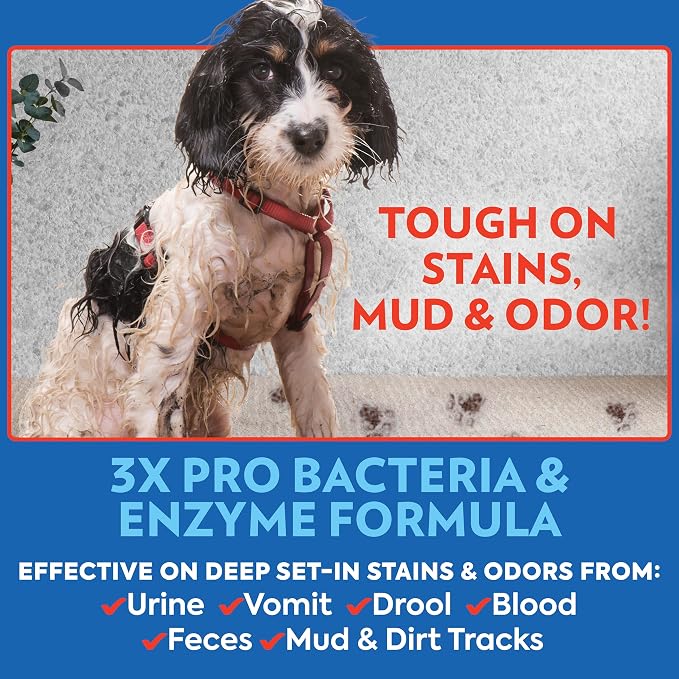 OUT! PetCare Pet Odor & Stain Remover Spray, Carpet & Floor Cleaner, Deodorizer for Dogs & Cats, Made in USA, 32 fl oz (6 Pack)