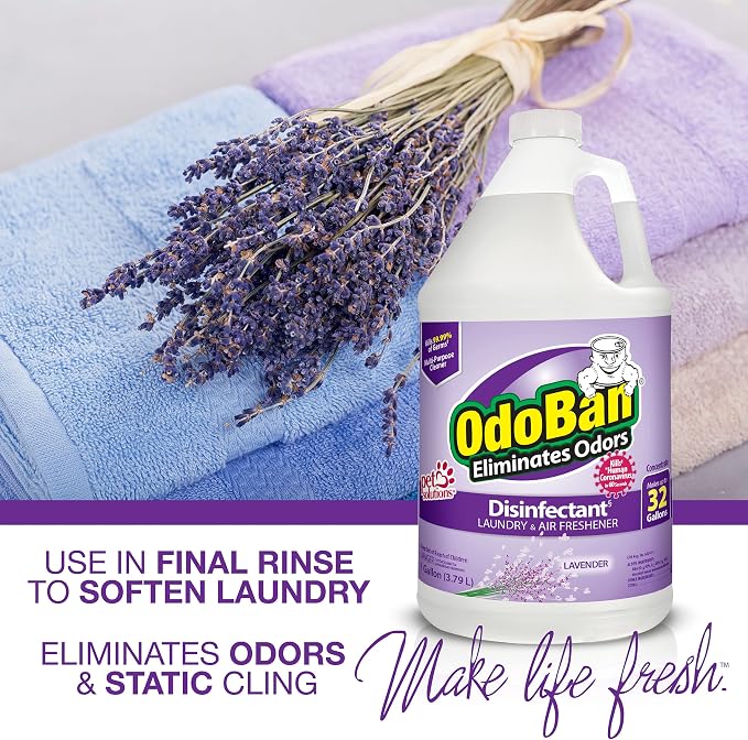 OdoBan Ready-to-Use Disinfectant and Odor Eliminator, Made in the USA, Lavender Scent, Set of 3, 2 Spray Bottles, 32 Ounces Each and 1 Gallon Concentrate