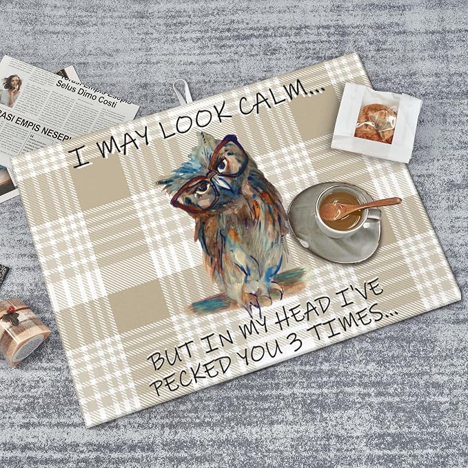 Kitchen Drying Mat Funny Owl Dish Drainer Mat for Kitchen Counter Microfiber Absorbent Reusable Washable 18x24 Inch Home Holiday Decor Cute Buffalo Plaid Drying Pad
