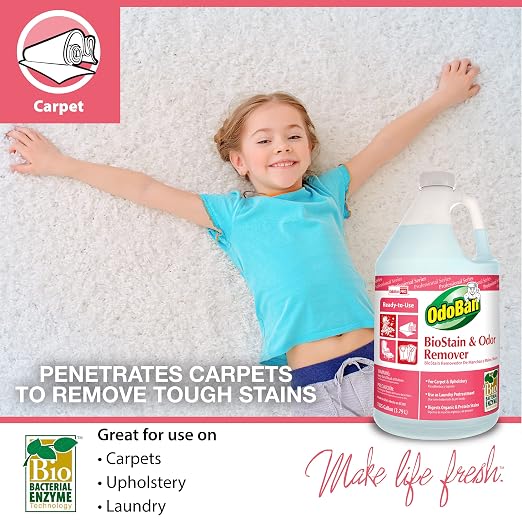 OdoBan Professional Series Ready-to-Use Air Cherry Liquid Air Freshener (1 Gallon) and Biostain and Odor Remover (1 Gallon)