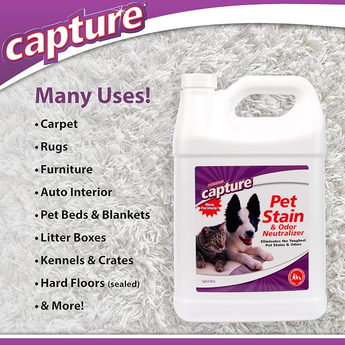 Capture Pet Stain & Odor Remover - Enzyme Pet Odor Eliminator for Home, Carpet Stain Remover for Cats & Dog Pee, Cat Urine Destroyer, Carpet Cleaner Spray - 1 Gallon