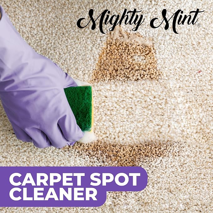 Mighty Mint Carpet Spot Cleaner, Spray to Remove Carpet Stains Instantly, Natural Peppermint Scent, 16oz