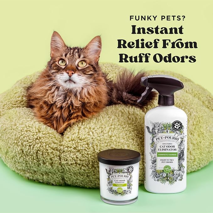 Pet-Pourri Smell Ya Litter Cat Litter Deodorizer Spray, Purrfectly Bamboo 3.4 Fl Oz, Up to 170 Uses, Pet Odor Remover with Essential Oils for Air, Carpet, Urine, Vet Recommended, Bergamot Bamboo Scent