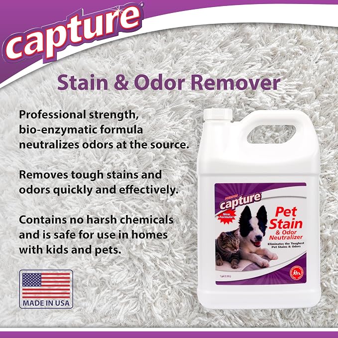 Capture Pet Stain & Odor Remover - Enzyme Pet Odor Eliminator for Home, Carpet Stain Remover for Cats & Dog Pee, Cat Urine Destroyer, Carpet Cleaner Spray - 1 Gallon